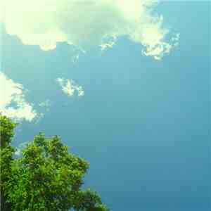 Hirotaka Shirotsubaki - 50m_silence download flac