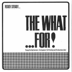 The What...For! - Ready Steady...The What...For! PlayingThe High Numbers, The Easybeats, The Primitives And The Downliner Sect download flac