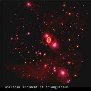 USR/SBIN - Incident At Triangulatum download flac