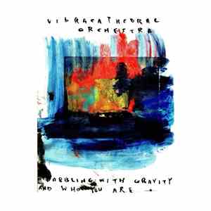 Vibracathedral Orchestra - Dabbling With Gravity And Who You Are download flac