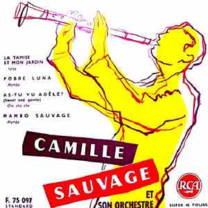Camille Sauvage Et Son Orchestre - Untitled download flac