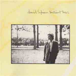 David Sylvian - Brilliant Trees download flac