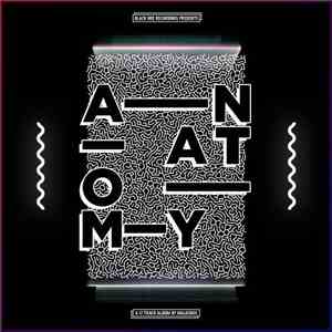 Malicious  - Anatomy download flac