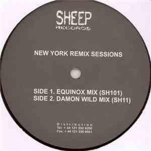 Raoul Delgardo / David Paxton - New York Remix Sessions download flac