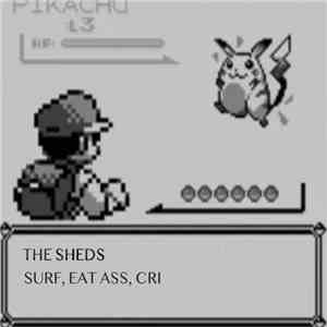 The Shedz - Cri While U Surf download flac
