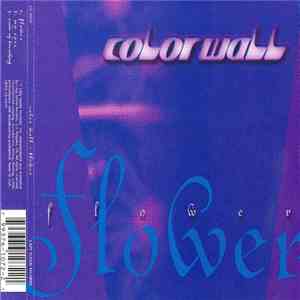 Color Wall - Flower download flac