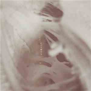 Dead Leaf Echo - Truth download flac