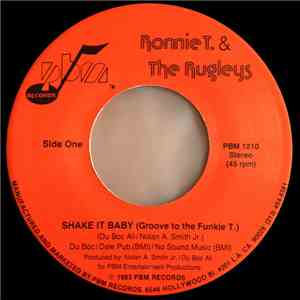 Ronnie T. & The Rugleys - Shake It Baby (Groove To The Funkie T.) download flac