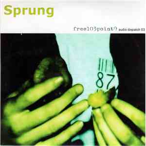 Various - Sprung download flac