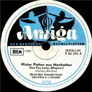 Werner Hass, Alexander-Terzett, Brigitte Rabald, Die Ping-Pongs, Lubo d'Orio m. s. Ensemble - Mister Patton Aus Manhattan / Tanzt Die Dolores download flac
