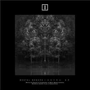 Alan Backdrop - Astra download flac