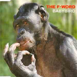 Babybird - The F-Word download flac