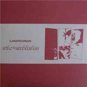 T.Raumschmiere - Stromschleifen download flac