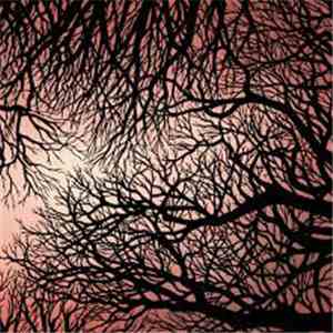 Zimpel / Ziołek - Zimpel/Ziołek download flac
