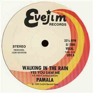 Pamala Stanley - Walking In The Rain (Yes You Saw Me) download flac