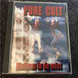 Pure Cult  - Malinas In De Mist download flac
