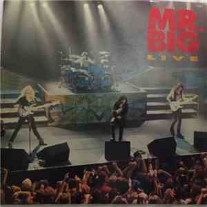 Mr. Big - Live download flac