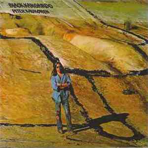 Peter Kaukonen - Black Kangaroo download flac