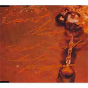 Red Hot Chili Peppers - Can't Stop download flac