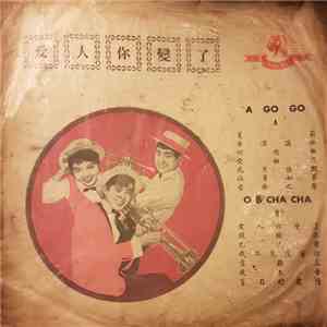 Unknown Artist - 愛人你變了 download flac