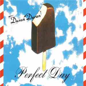 Duran Duran - Perfect Day download flac