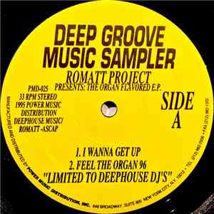 Romatt Project - The Organ Flavored E.P. download flac