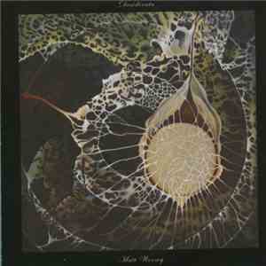 Matt Woosey - Desiderata download flac