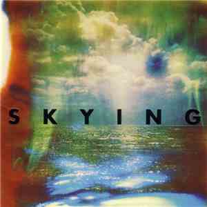 The Horrors - Skying download flac