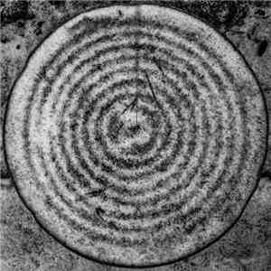 Daniel Menche - Cold Metals FLAC album
