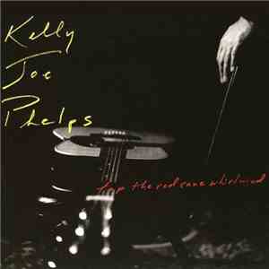 Kelly Joe Phelps - Tap The Red Cane Whirlwind download flac