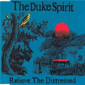 The Duke Spirit - Relieve The Distressed download flac