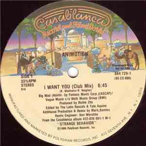 Animotion - I Want You download flac