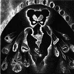 Erica Pomerance - You Used To Think download flac
