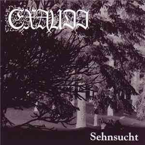 Exaudi  - Sehnsucht download flac
