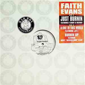 Faith Evans - Just Burnin download flac