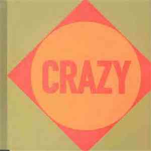 Fine Young Cannibals - She Drives Me Crazy download flac
