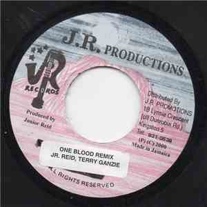 Junior Reid - One Blood FLAC album