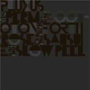 Pluxus - Solid State download flac