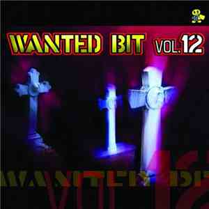 Various - Wanted Bit Vol. 12 download flac