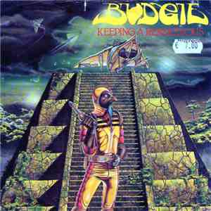 Budgie - Keeping A Rendezvous download flac
