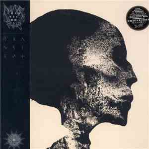 Chaos Echœs - Transient download flac