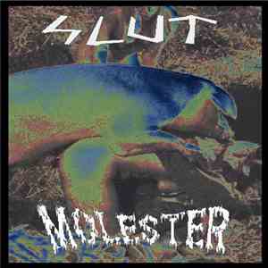 Slut Kull / Pig Molester - Slut Molester download flac