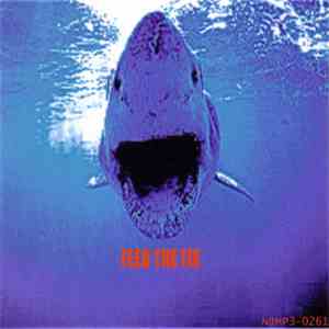 The Bottomfeeder - Feed The Fix download flac