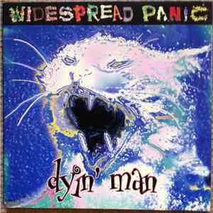 Widespread Panic - Dyin' Man download flac