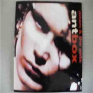 Adam And The Ants - Not In The Box download flac