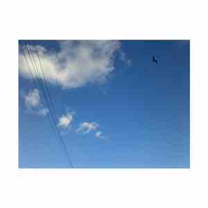 Daniel Thomas  - Keep The Red Kites Flying download flac