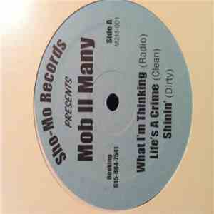Mob II Many - What I'm Thinking download flac