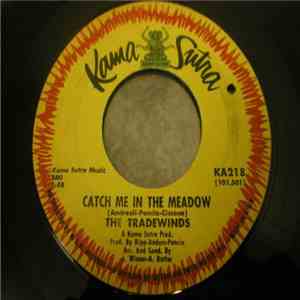 The Tradewinds - Catch Me In The Meadow / I Believe In Her download flac