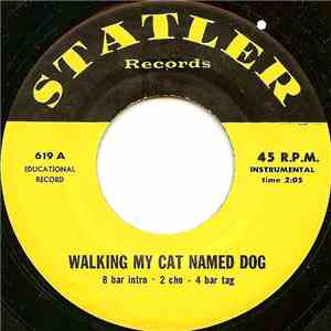 Unknown Artist - Walking My Cat Named Dog download flac