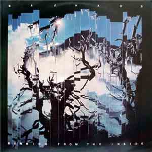Bauhaus - Burning From The Inside download flac